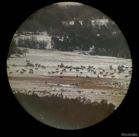 a view of a fireplace