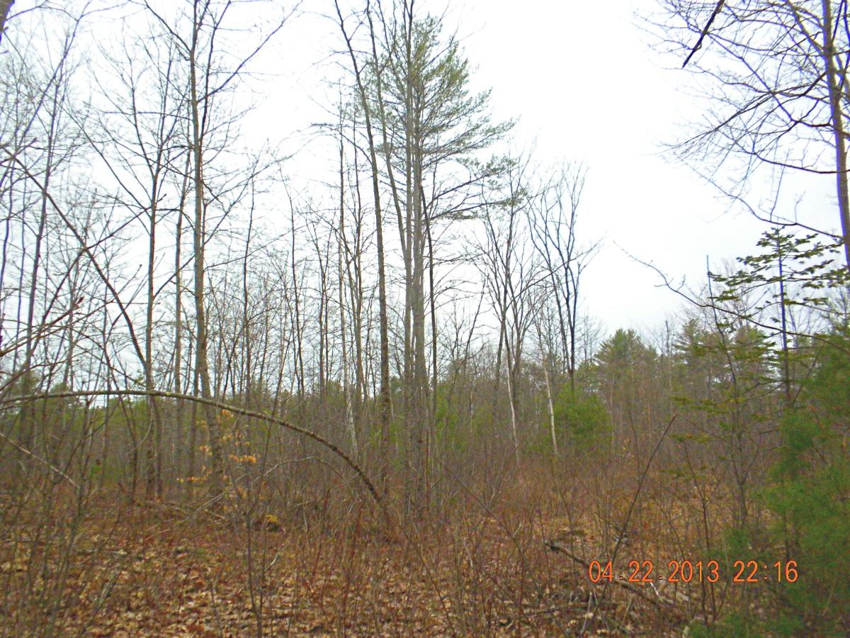 85 Mitchell Hill Road Gorham, ME 04038 - Photo 8 of 39 DSCN6288 a