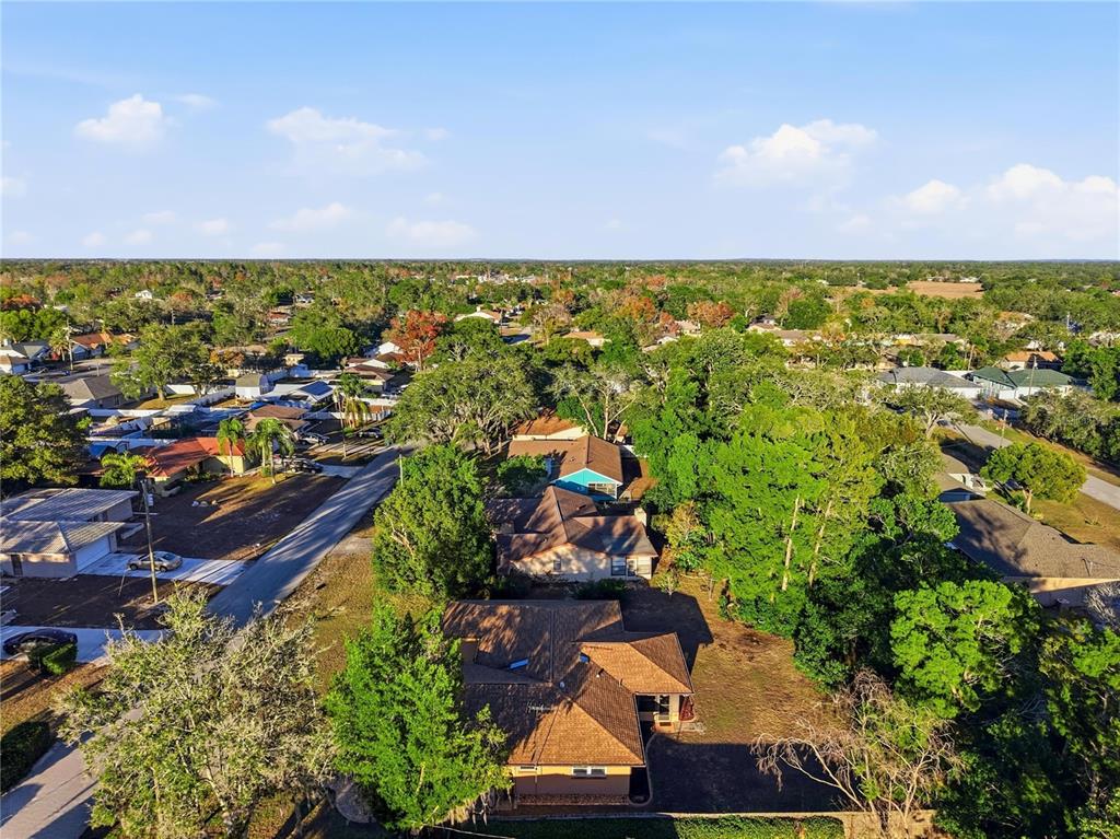 3234 Abeline Road Spring Hill, FL 34608 - Photo 35 of 42