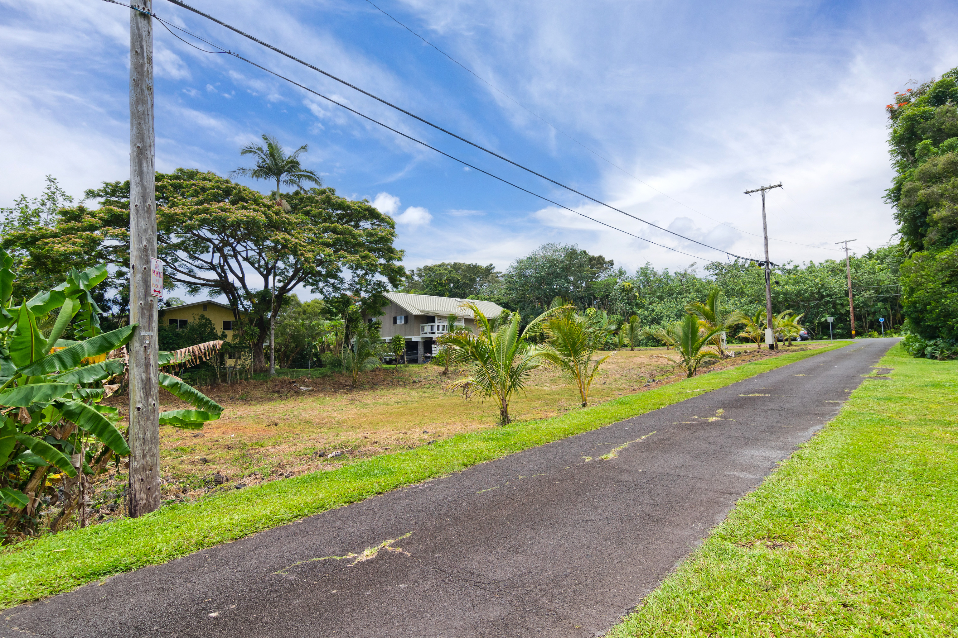 106 B Nene Street Hilo, HI 96720 - Photo 11 of 14 a view of a park with plants and trees