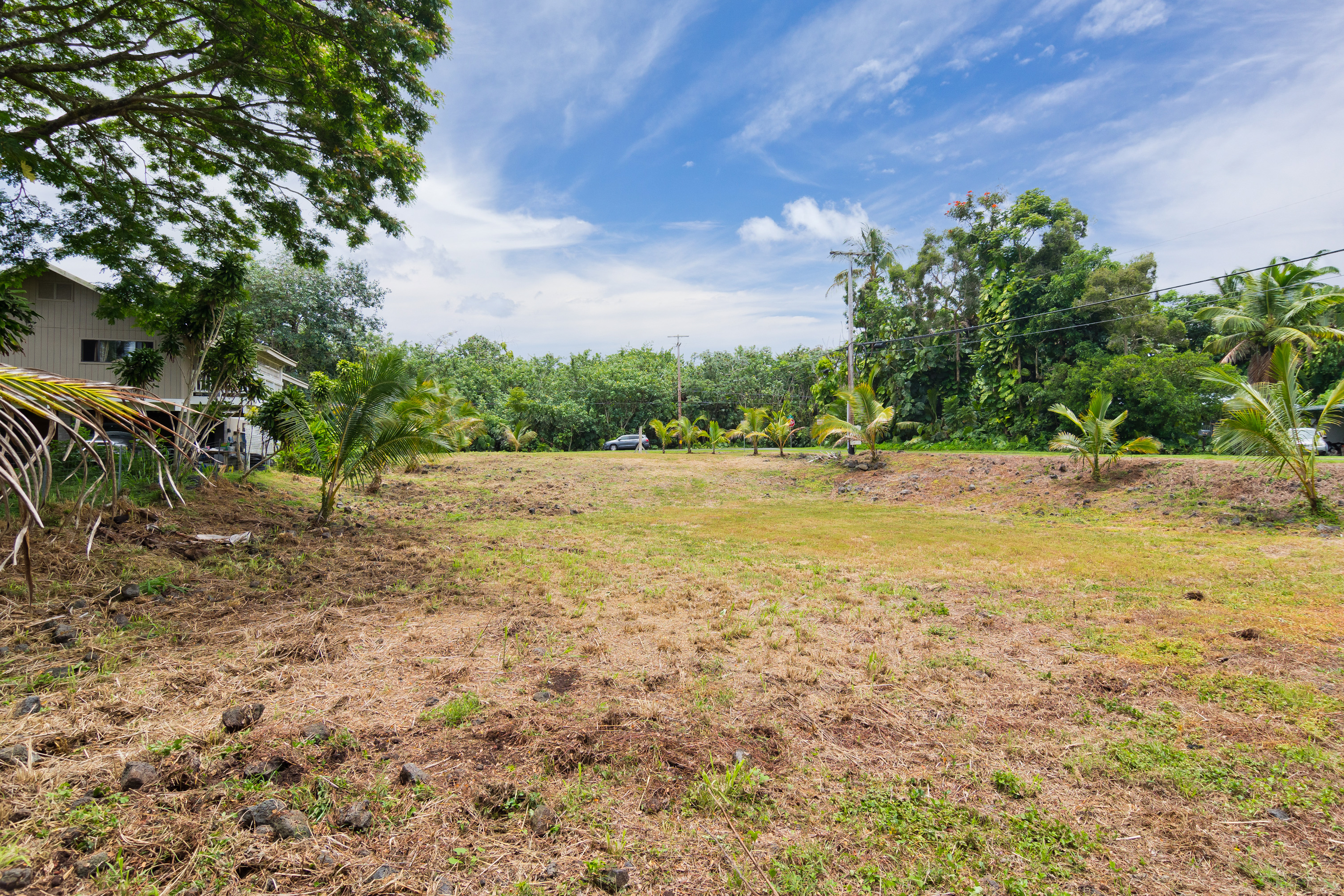 106 B Nene Street Hilo, HI 96720 - Photo 12 of 14 a view of a lake view