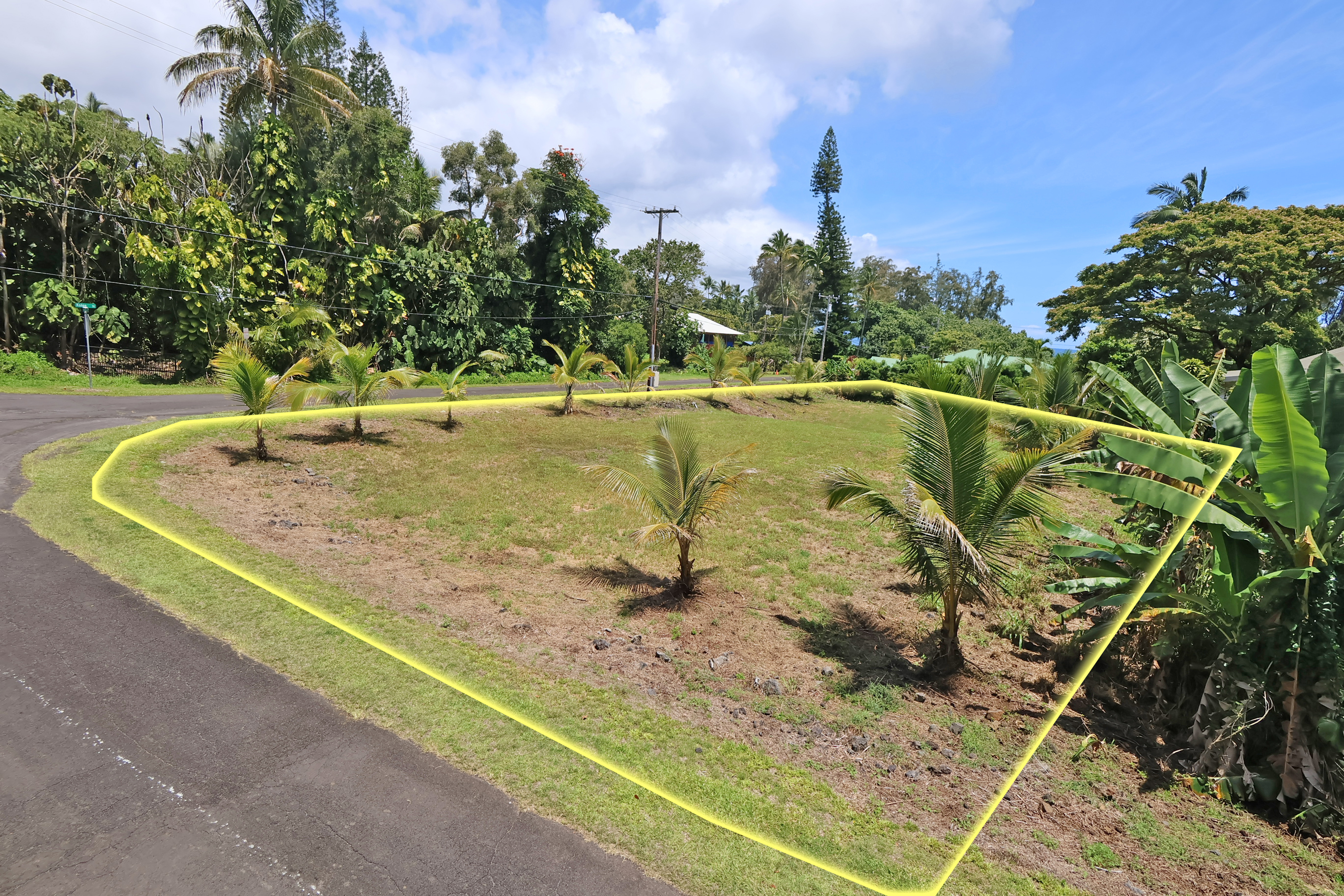 106 B Nene Street Hilo, HI 96720 - Photo 5 of 14 a view of a swimming pool with a yard and plants