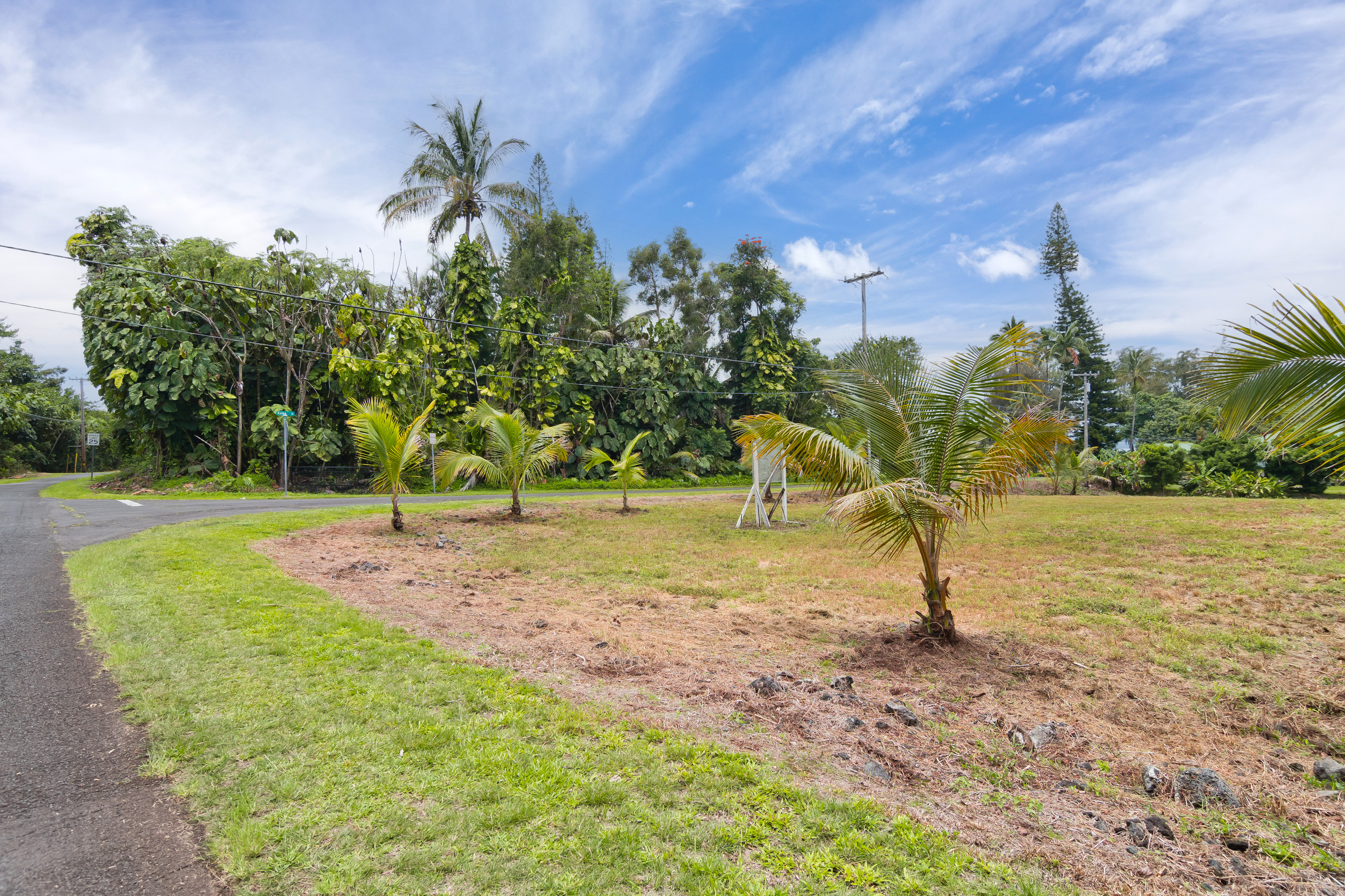 106 B Nene Street Hilo, HI 96720 - Photo 7 of 14 a view of a park