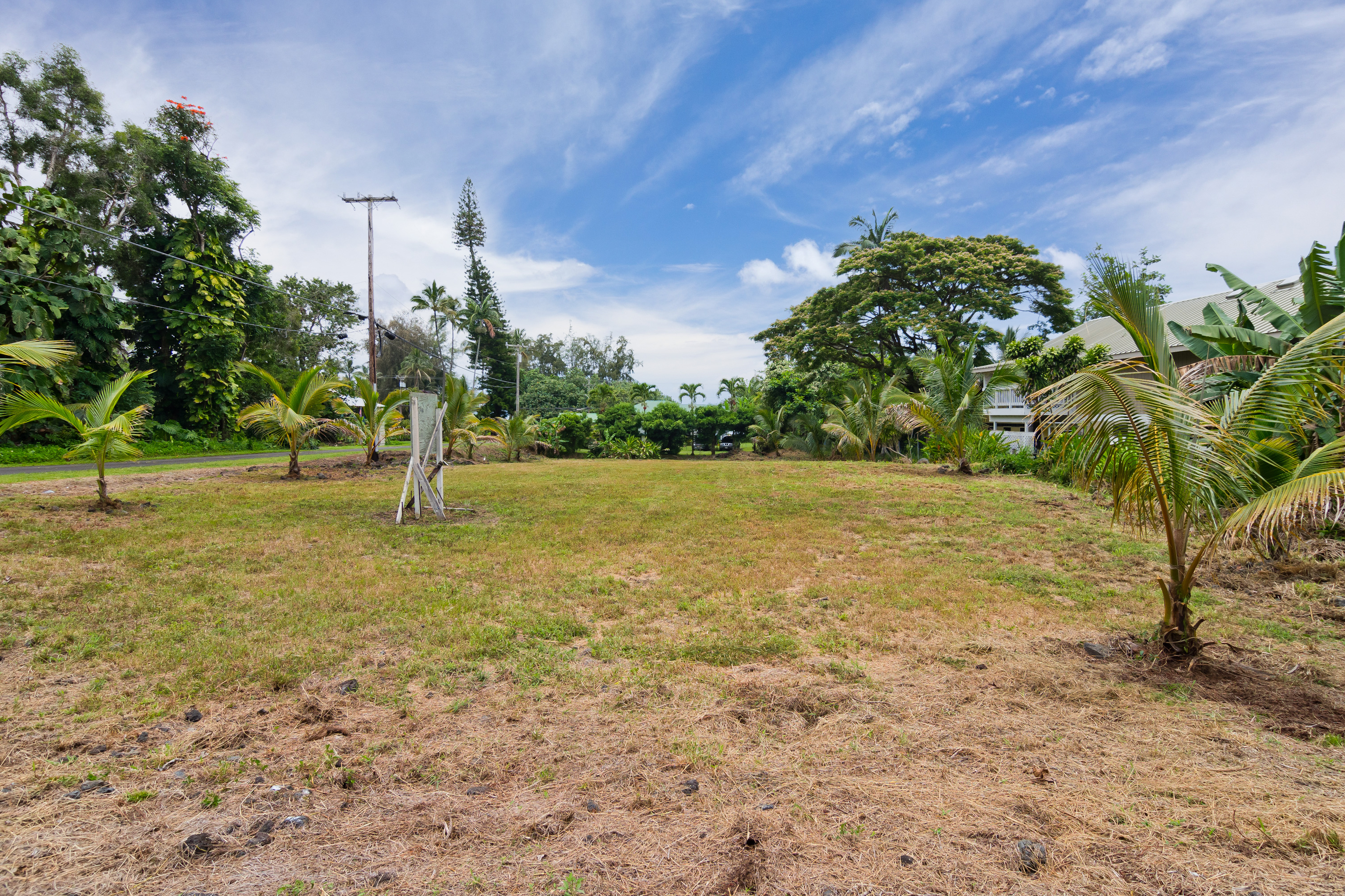 106 B Nene Street Hilo, HI 96720 - Photo 8 of 14 a view of a tree in a yard