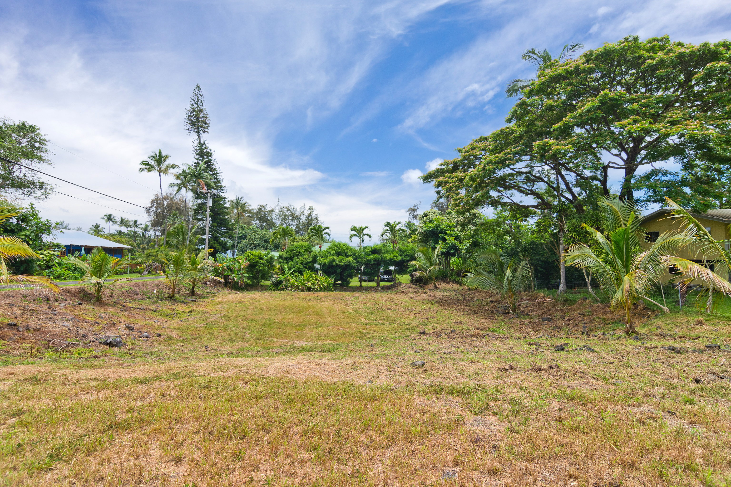 106 B Nene Street Hilo, HI 96720 - Photo 9 of 14 a view of a yard with a tree
