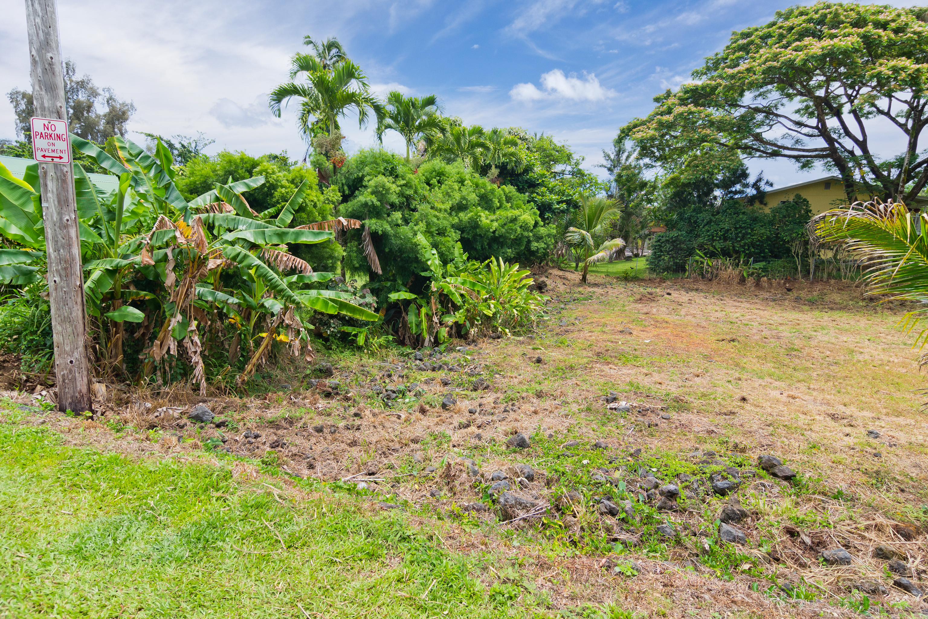106 B Nene Street Hilo, HI 96720 - Photo 10 of 14 a view of a yard with plants and trees