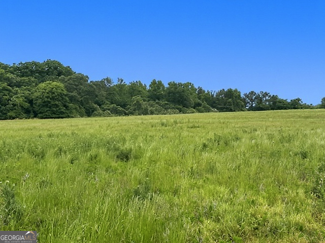 258 Gus Whiting Road Lavonia, GA 30553 - Photo 1 of 11