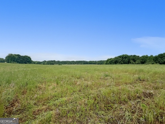 258 Gus Whiting Road Lavonia, GA 30553 - Photo 2 of 11