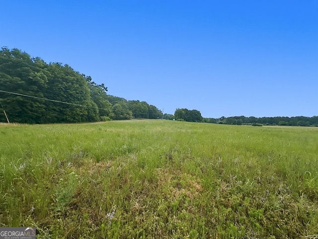258 Gus Whiting Road Lavonia, GA 30553 - Photo 3 of 11