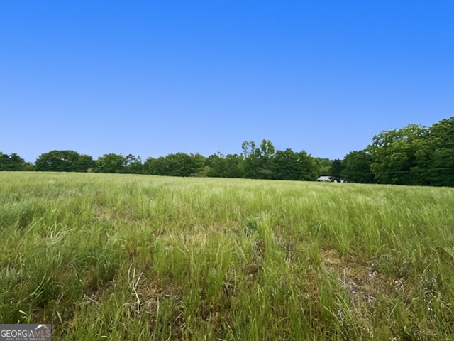 258 Gus Whiting Road Lavonia, GA 30553 - Photo 4 of 11