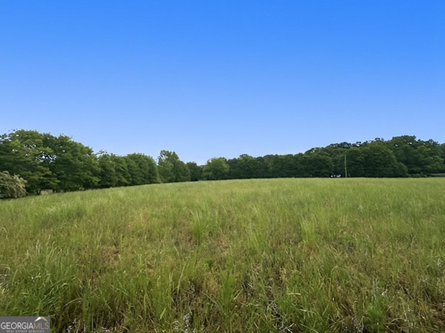 258 Gus Whiting Road Lavonia, GA 30553 - Photo 5 of 11