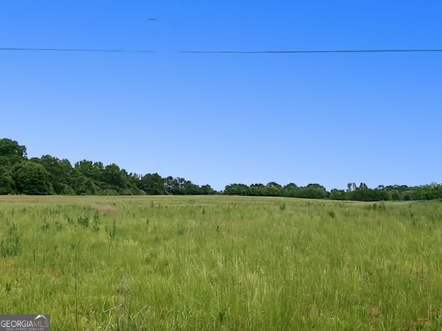258 Gus Whiting Road Lavonia, GA 30553 - Photo 6 of 11