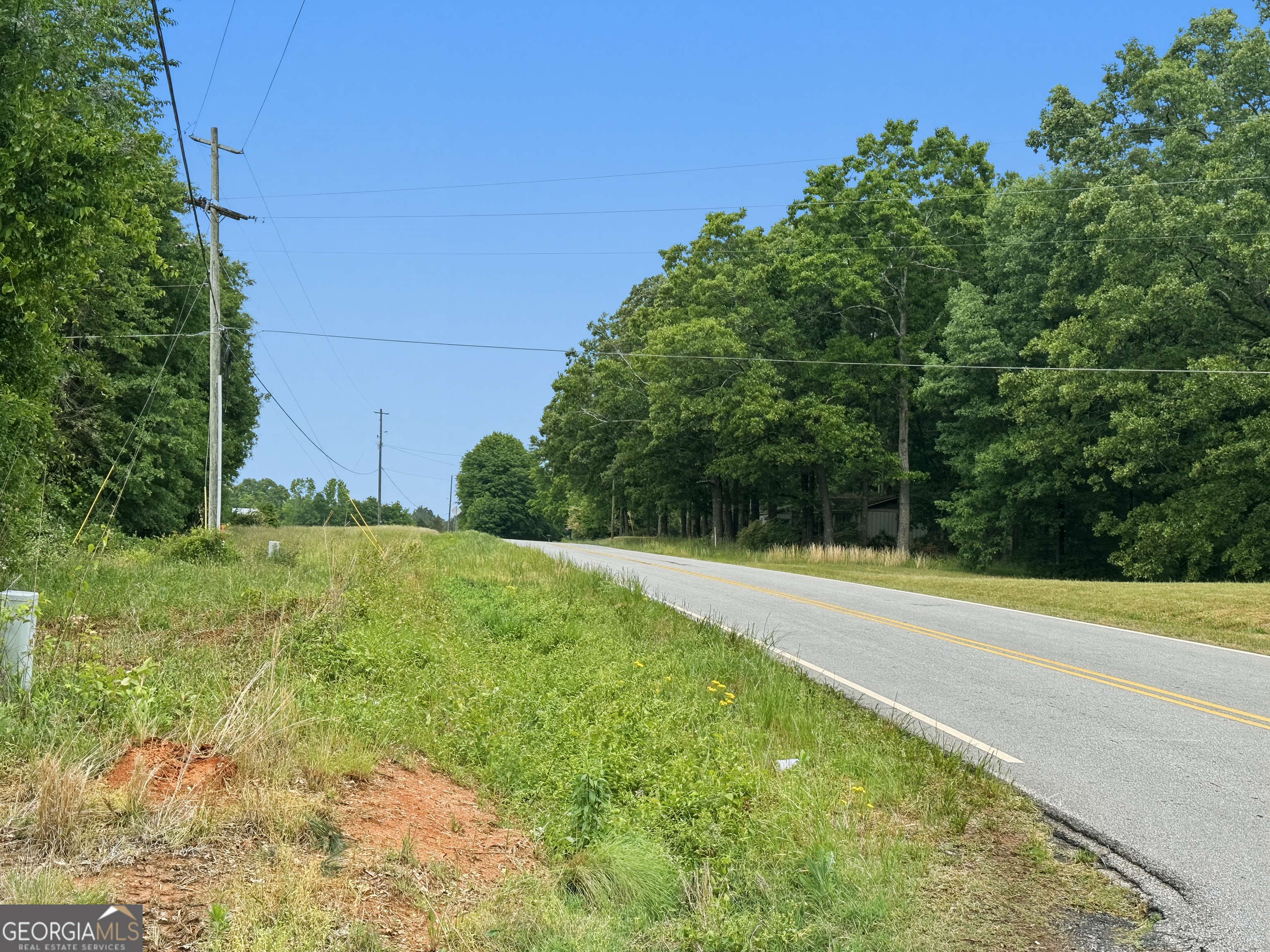 258 Gus Whiting Road Lavonia, GA 30553 - Photo 7 of 11