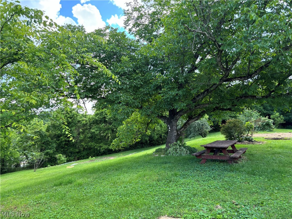 52 Old Dutch Ridge Road Parkersburg, WV 26104 - Photo 6 of 9 View of yard