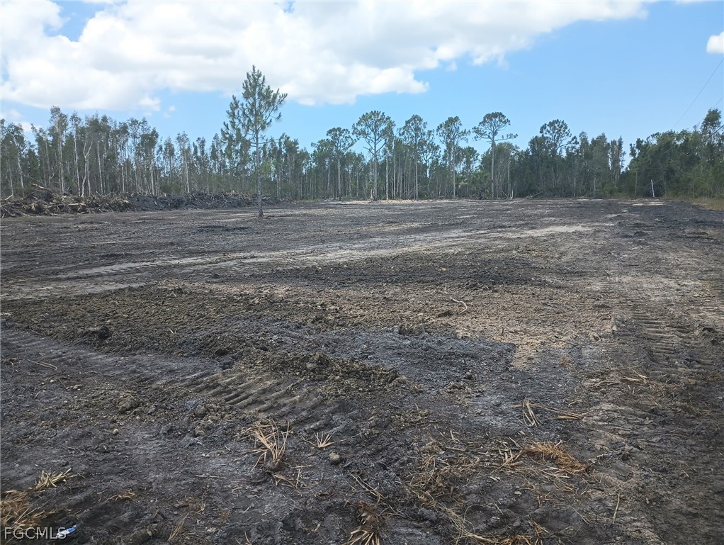 32846 Oil Well Road Punta Gorda, FL 33955 - Photo 4 of 8 a view of dirt field with trees in the background