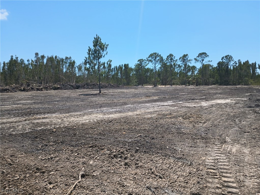 32846 Oil Well Road Punta Gorda, FL 33955 - Photo 7 of 8 a view of outdoor space with city view