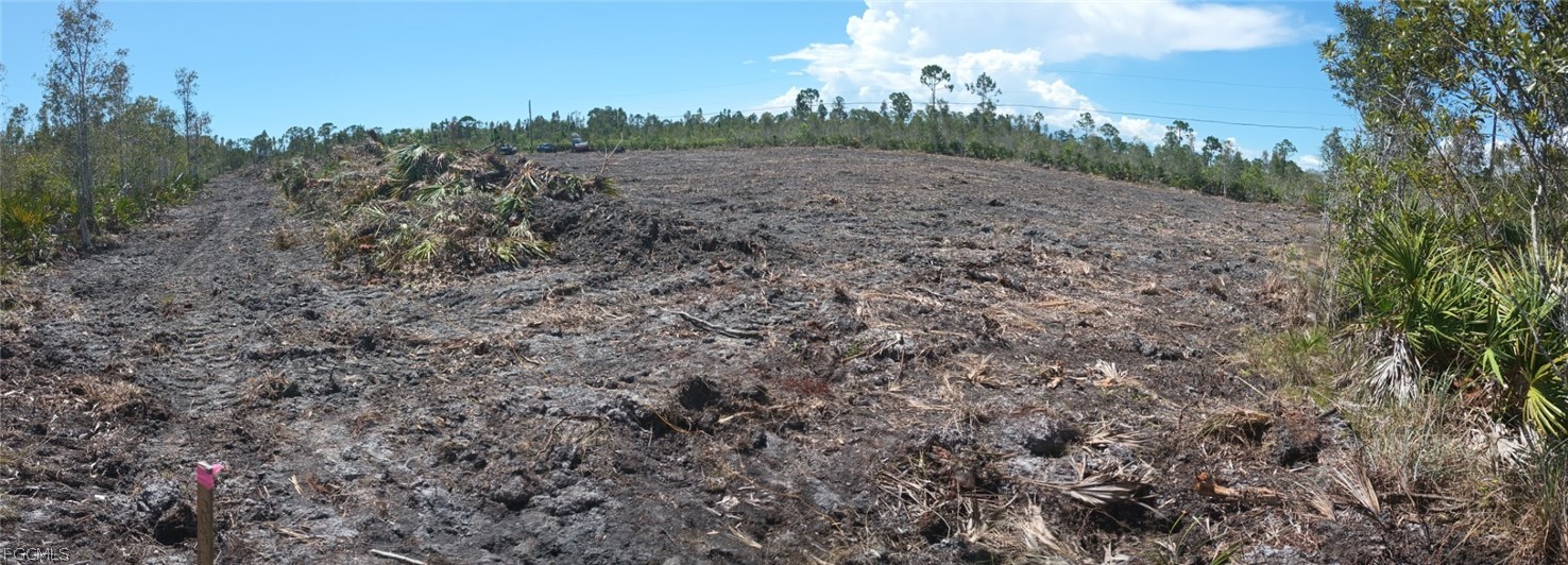 32846 Oil Well Road Punta Gorda, FL 33955 - Photo 8 of 8 a view of a dry yard with trees in the background