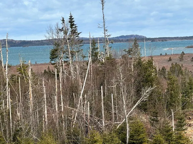 $119,900 | 25-a-14 Blackwood Lane, Lubec, ME 04652