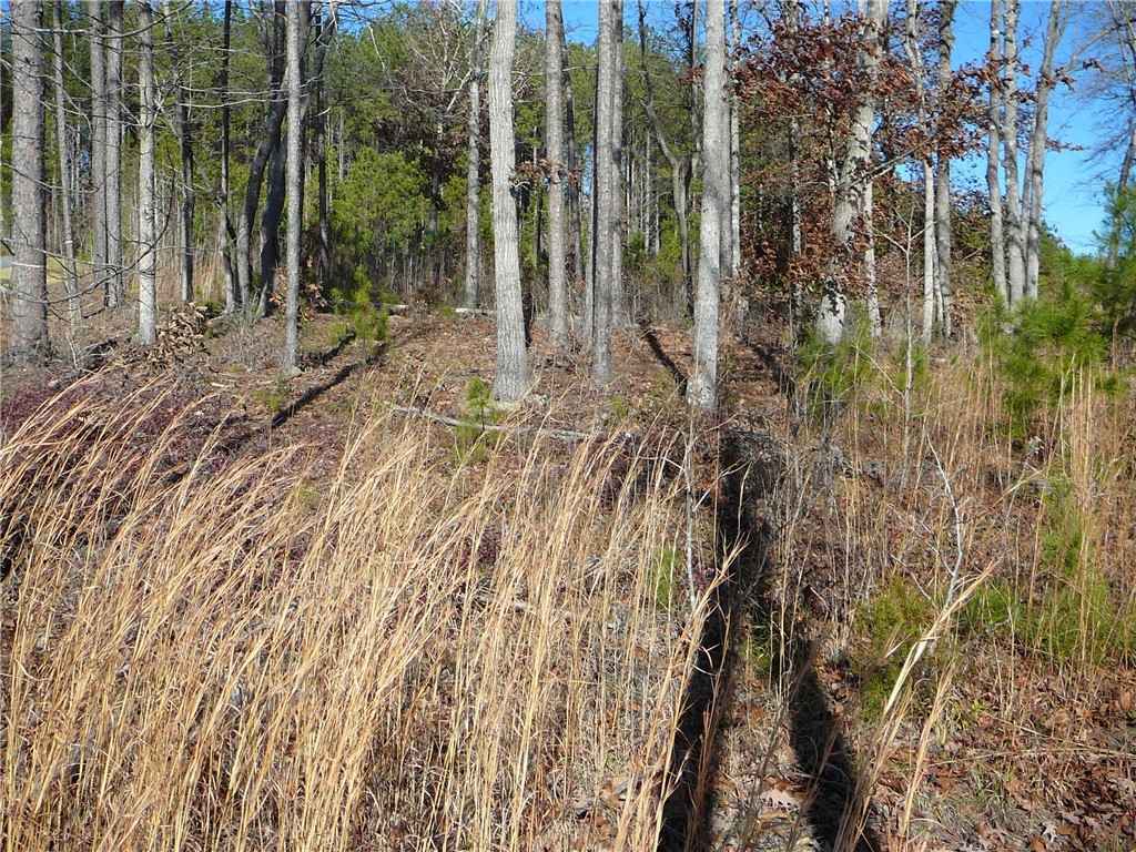 6 Landing Run Abbeville, SC 29620 - Photo 4 of 6
