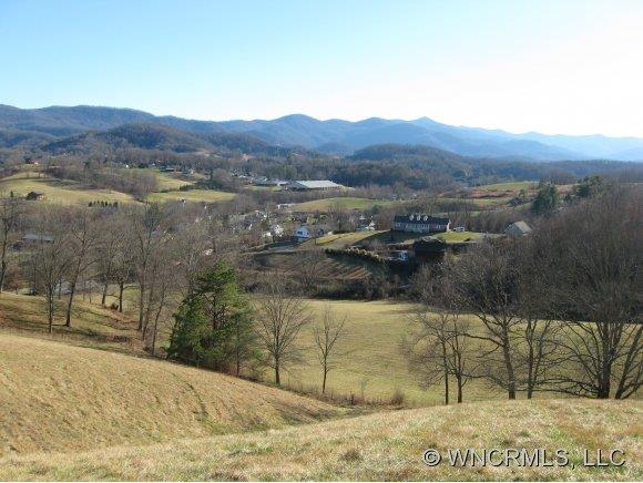 0 Yellowwood Road Waynesville, NC 28785 - Photo 1 of 1