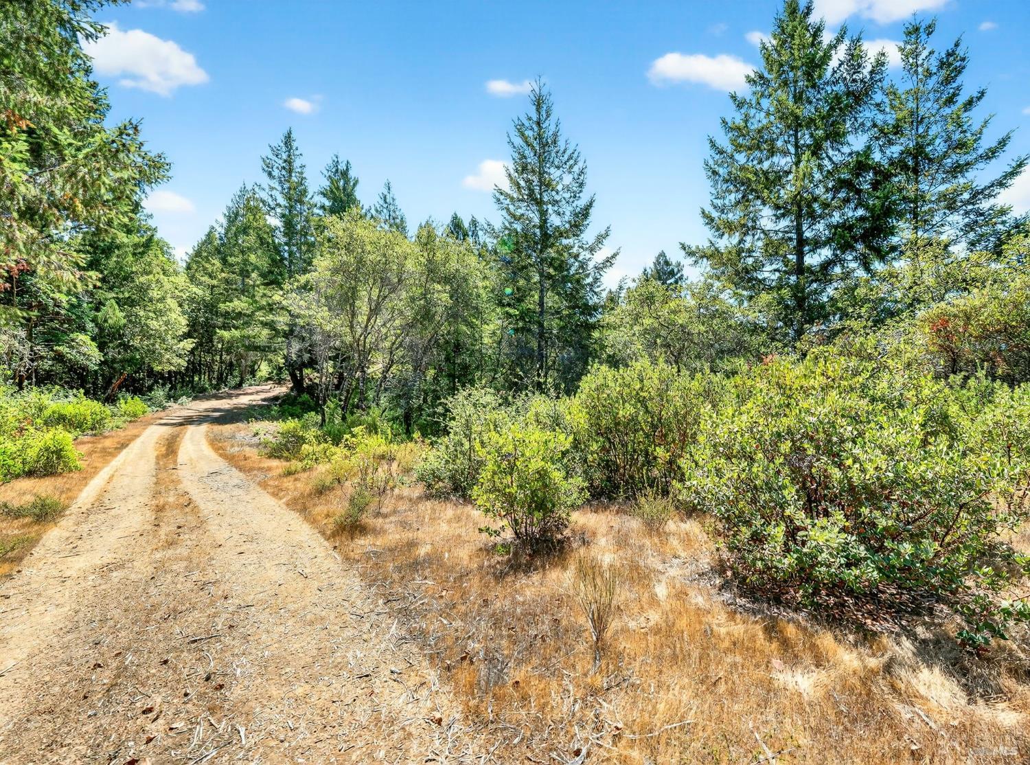 0 Moore Homestead Road Philo, CA 95466 - Photo 11 of 20 a view of backyard with green space