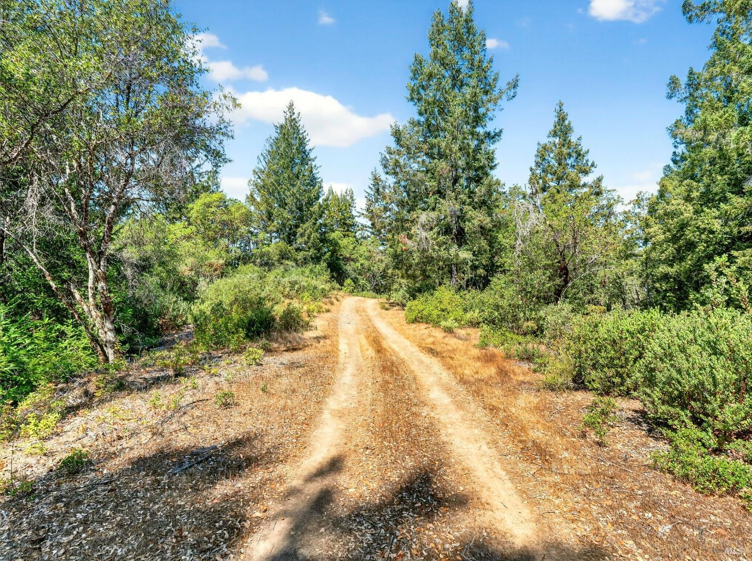 0 Moore Homestead Road Philo, CA 95466 - Photo 12 of 20 a view of a yard with trees