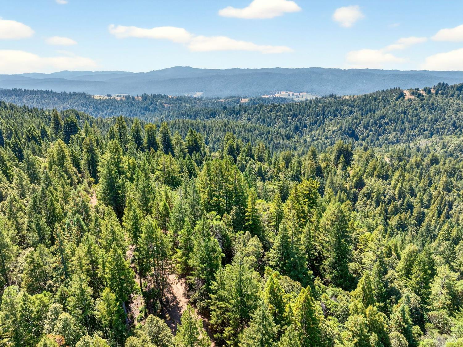 0 Moore Homestead Road Philo, CA 95466 - Photo 13 of 20 a view of a lush green hillside and a mountain