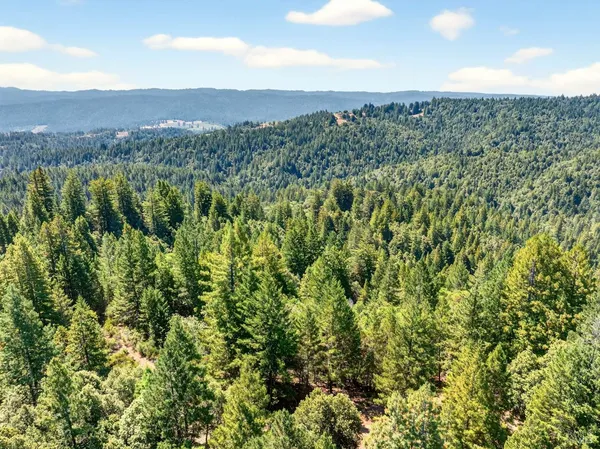 a view of a city with lush green forest