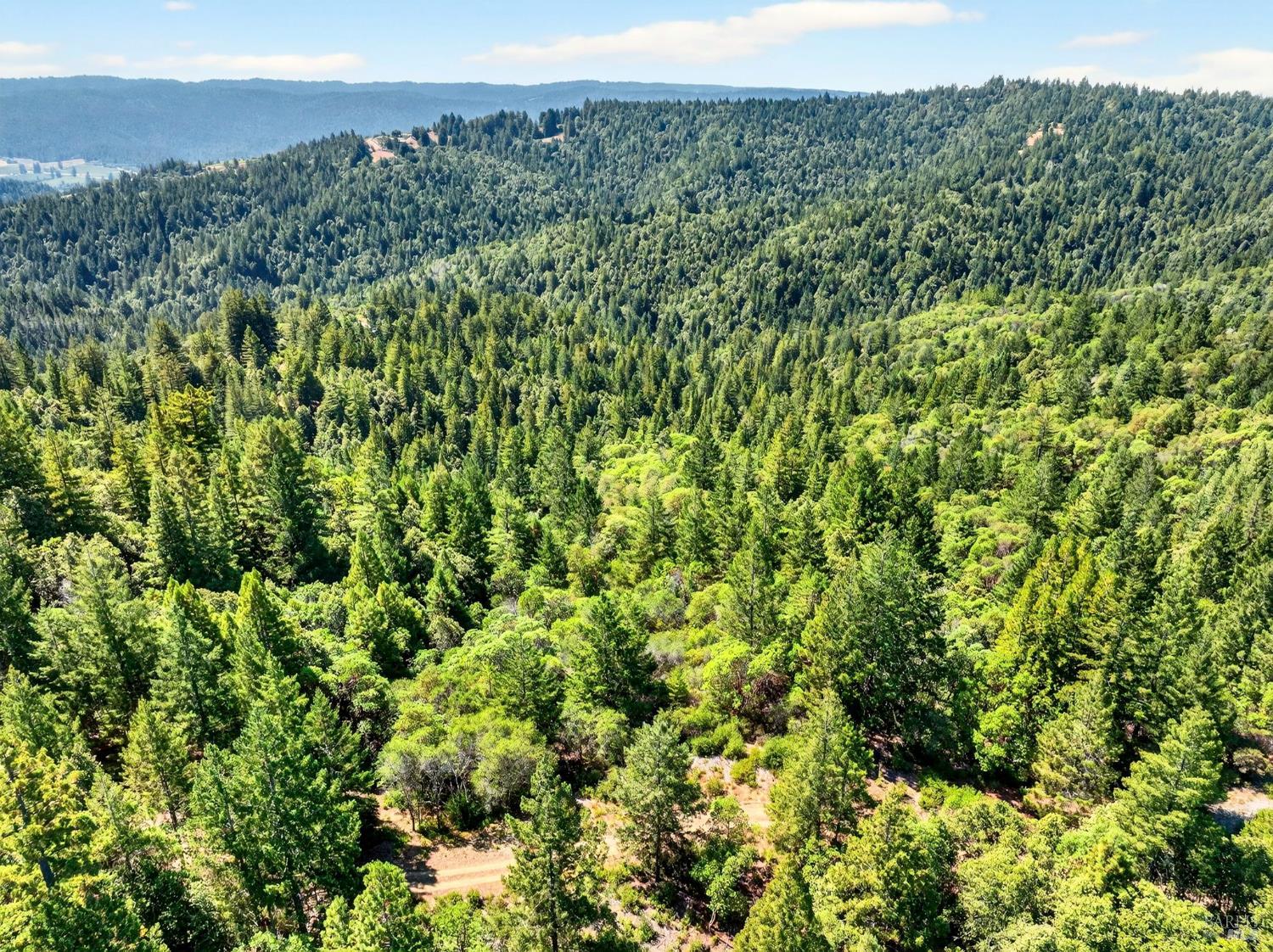0 Moore Homestead Road Philo, CA 95466 - Photo 15 of 20 a view of a green field with lots of bushes