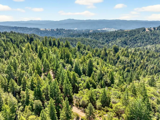 a view of a lush green field with lots of bushes