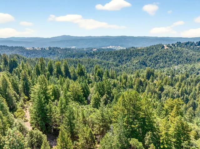 a view of a city with lush green forest