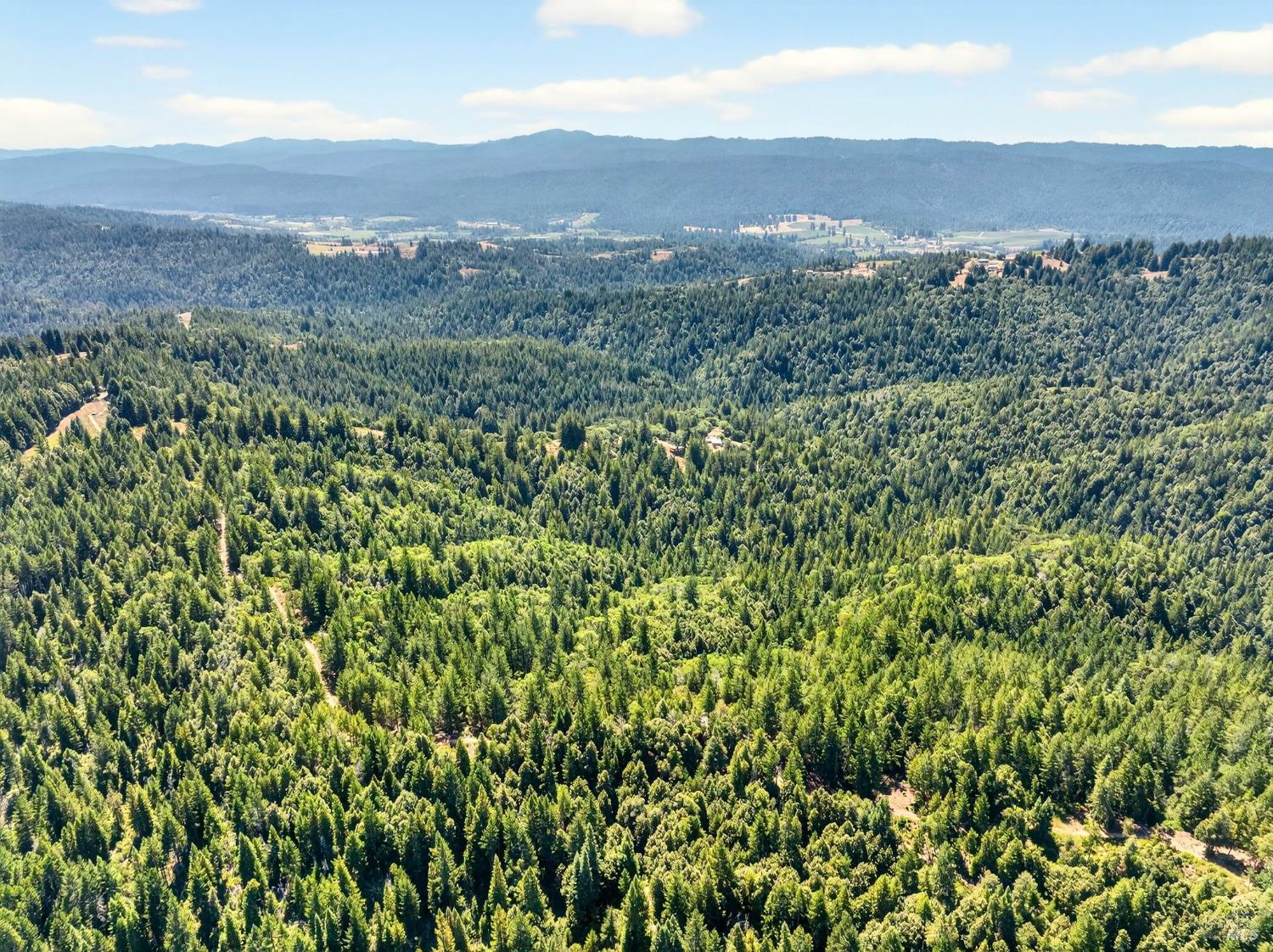 0 Moore Homestead Road Philo, CA 95466 - Photo 18 of 20 a view of a lush green hillside and houses