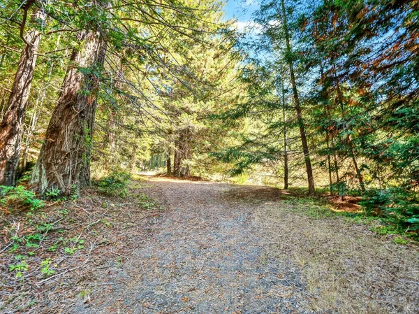 a view of a yard with a tree