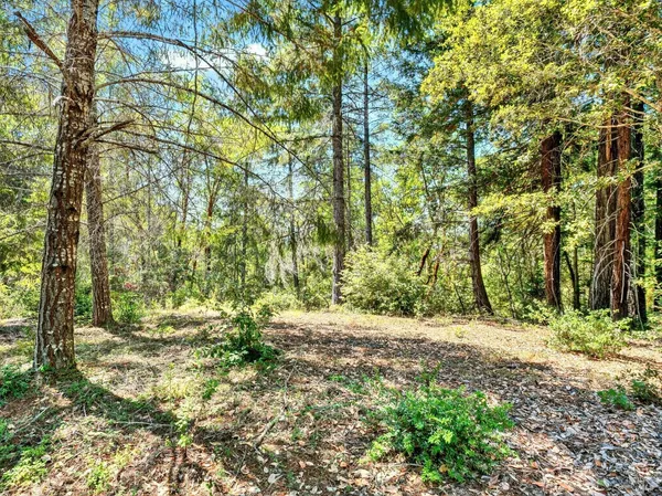 a view of outdoor space with trees
