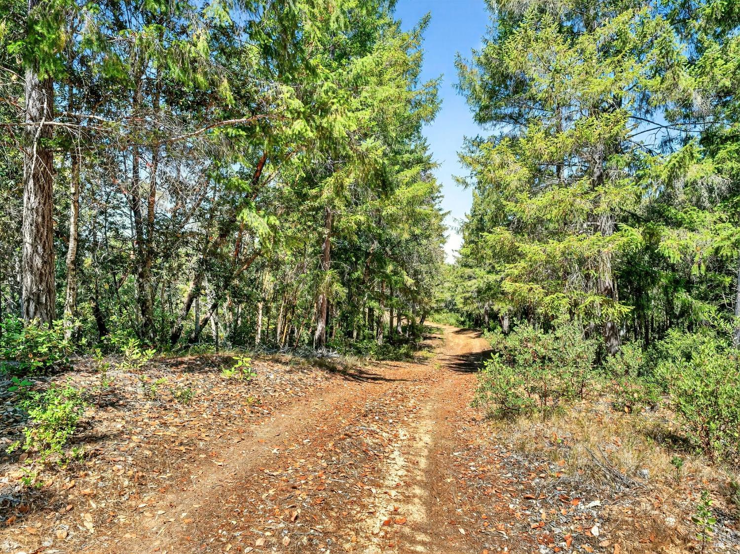 0 Moore Homestead Road Philo, CA 95466 - Photo 9 of 20 a view of outdoor space and a yard
