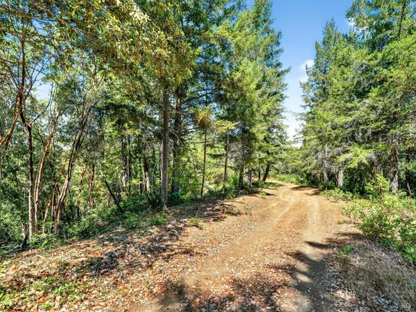 a backyard of a house with lots of green space