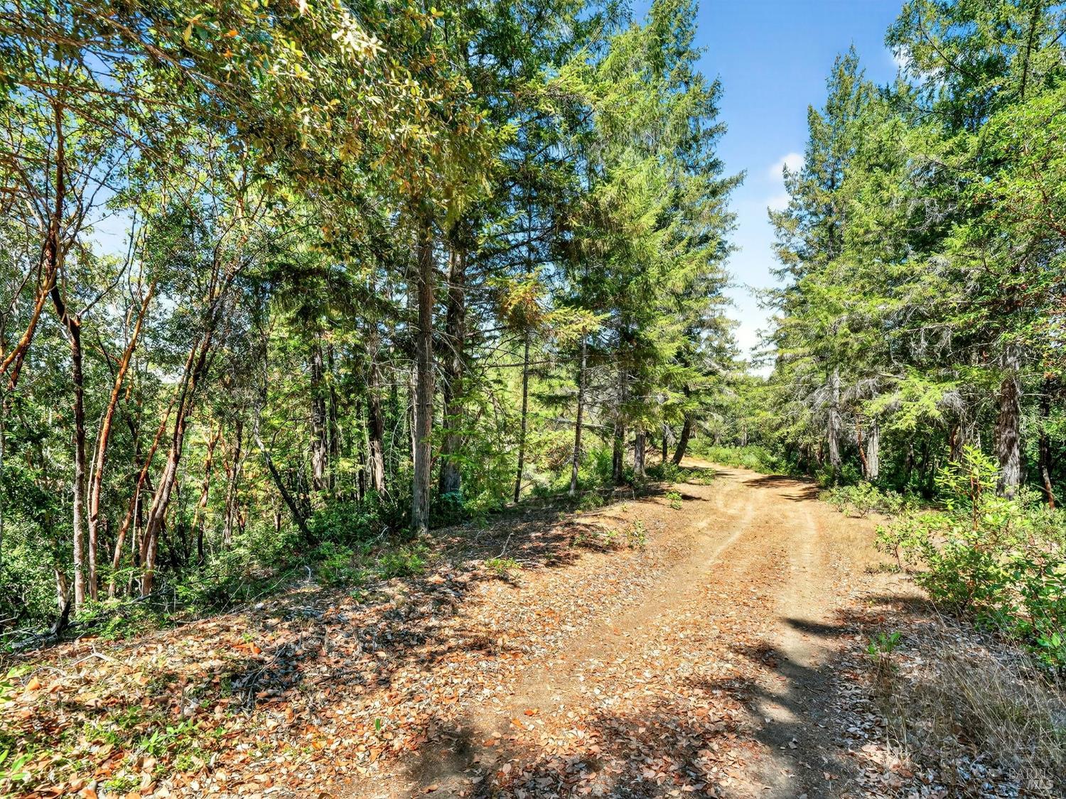 0 Moore Homestead Road Philo, CA 95466 - Photo 10 of 20 a backyard of a house with lots of green space