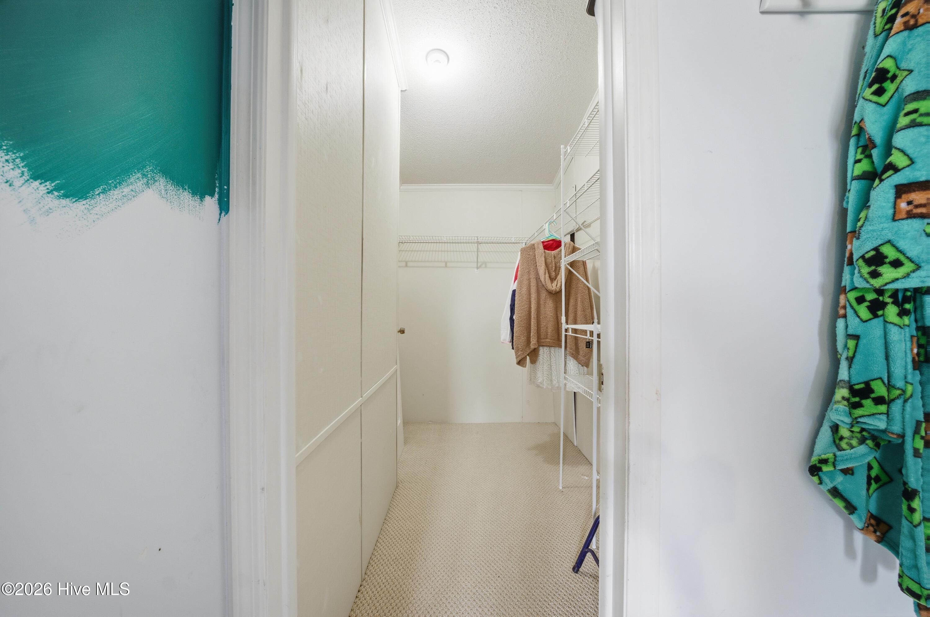 324 Hill Lane Road Eure, NC 27935 - Photo 13 of 28 21_dsc09437