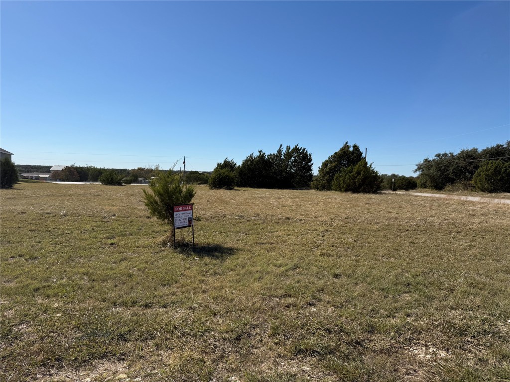 117 Fall Drive Georgetown, TX 78633 - Photo 4 of 9 a view of lake view
