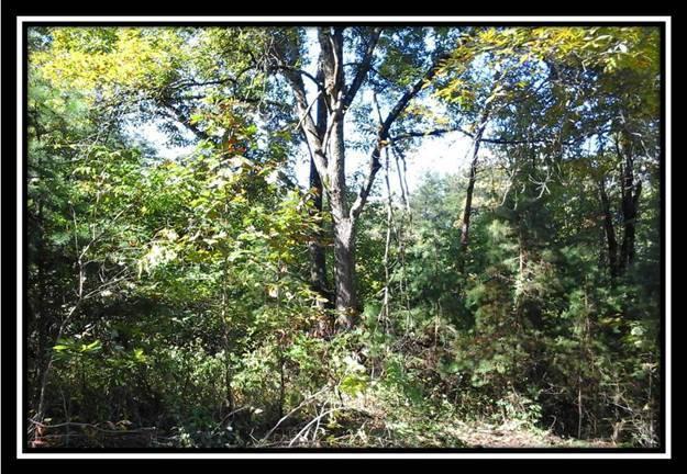 1975 Bethel Ridge Road Jackson, OH 45640 - Photo 23 of 26