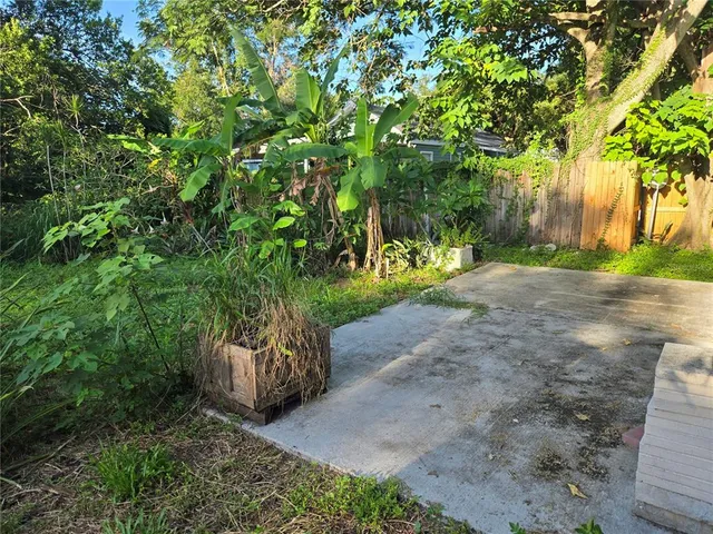 a view of a field with plants and trees