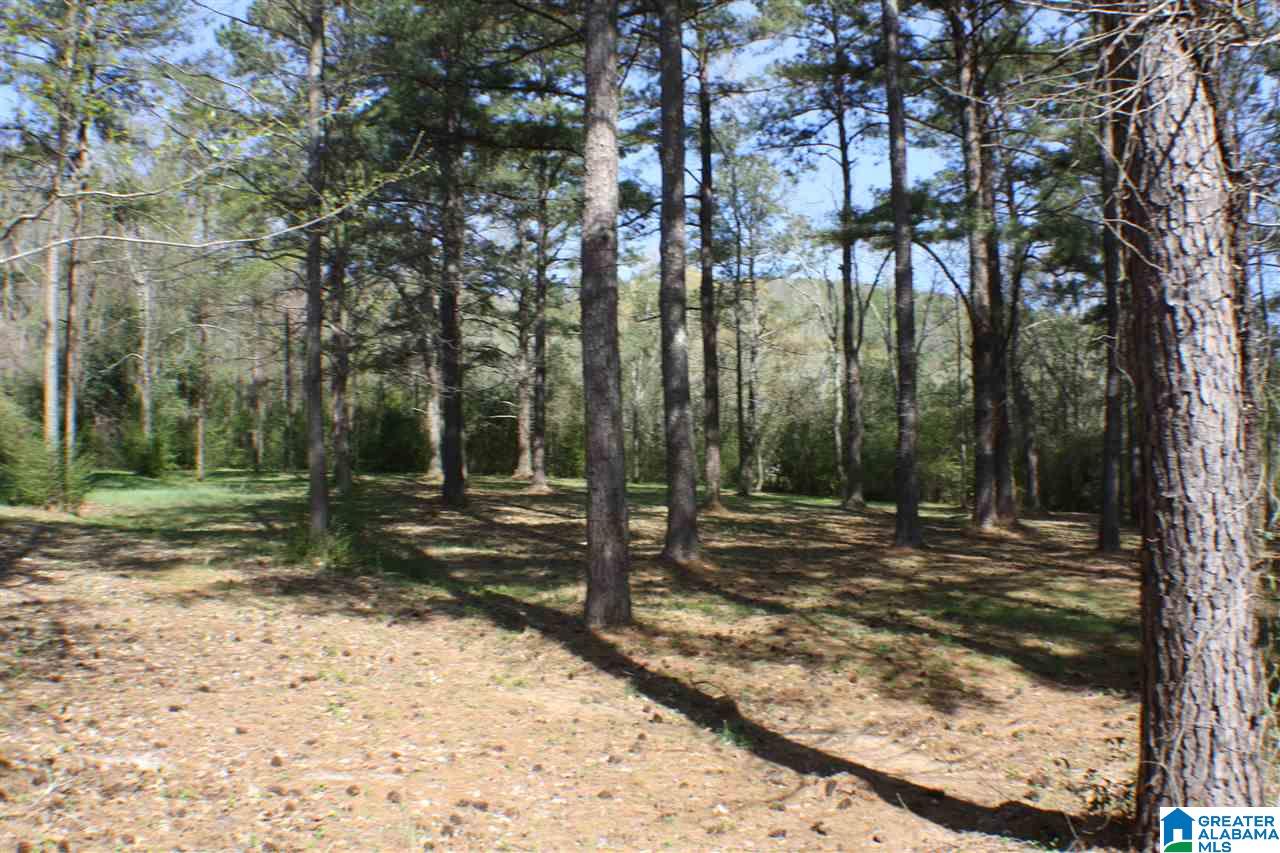0 Coleman Road, Unit 1 Anniston, AL 36207 - Photo 2 of 32