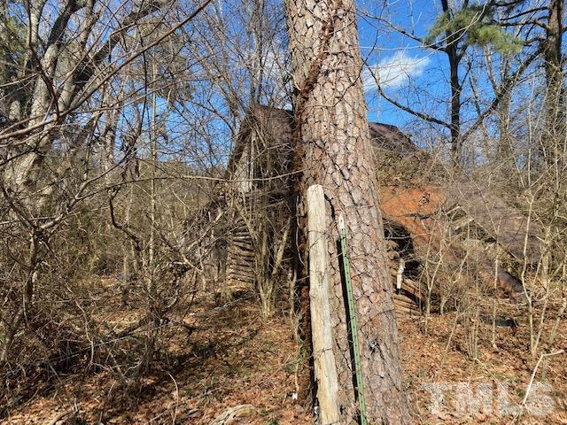 1201 Embro-Odell Road Littleton, NC 27850 - Photo 12 of 20 Gallery Image 12