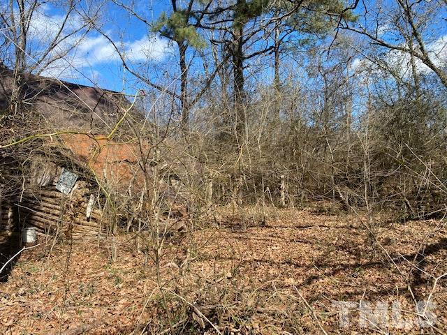 1201 Embro-Odell Road Littleton, NC 27850 - Photo 14 of 20 Gallery Image 14