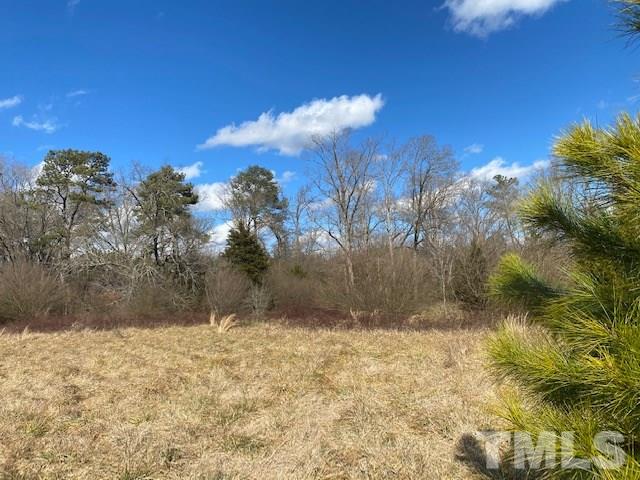 1201 Embro-Odell Road Littleton, NC 27850 - Photo 15 of 20 Gallery Image 15
