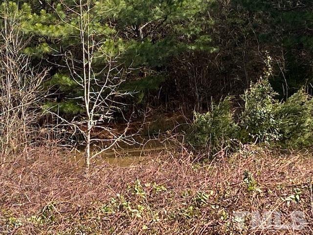 1201 Embro-Odell Road Littleton, NC 27850 - Photo 18 of 20 Gallery Image 18