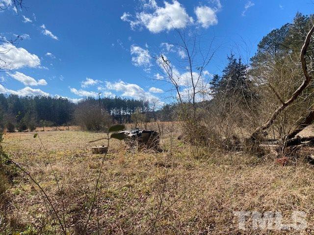 1201 Embro-Odell Road Littleton, NC 27850 - Photo 3 of 20 Gallery Image 3