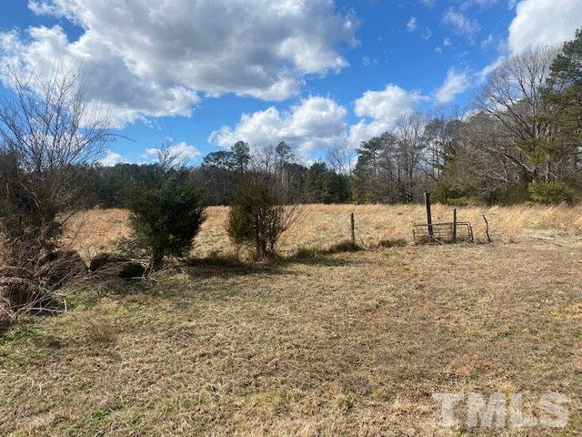 1201 Embro-Odell Road Littleton, NC 27850 - Photo 4 of 20 Gallery Image 4