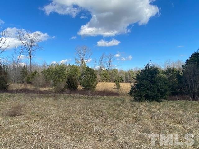 1201 Embro-Odell Road Littleton, NC 27850 - Photo 8 of 20 Gallery Image 8