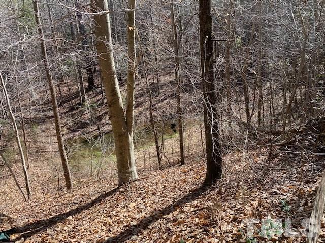 1201 Embro-Odell Road Littleton, NC 27850 - Photo 9 of 20 Gallery Image 9
